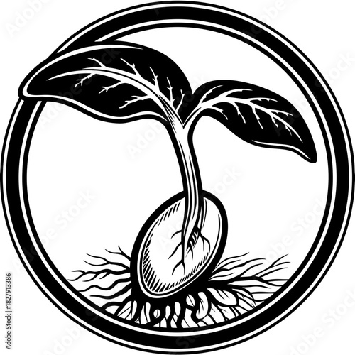Black and white sprout growing from seed with roots and circular border