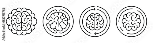 Understanding brain function and mental processes a visual representation of brain evolution and thinking