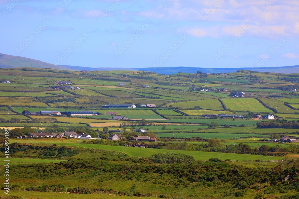 Obraz premium Rural scenery in County Antrim, Northern Ireland. Summer agricultural landscape of Northern Ireland.