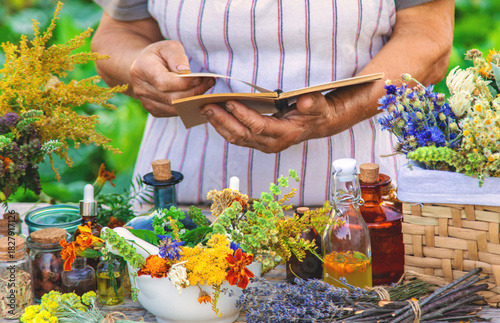 Fotografie Grandmother makes tinctures from medicinal herbs