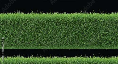Green Grass Texture Seamless Pattern Natural Background.