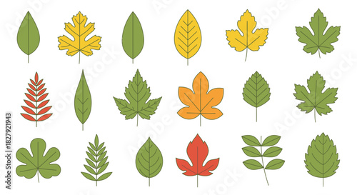Diverse Collection of Colorful Autumn Leaves in Vector Format.