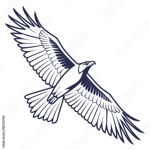Eagle soars gracefully, wings spread wide