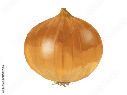 丸ごとタマネギのベクターイラスト(皮付き・ベーシック)