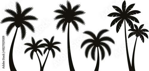 Palm trees silhouette