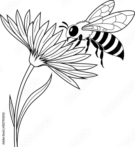 A black and white illustration of a bee approaching small flowers. Clean line art with detailed wings and leaves, perfect for coloring.