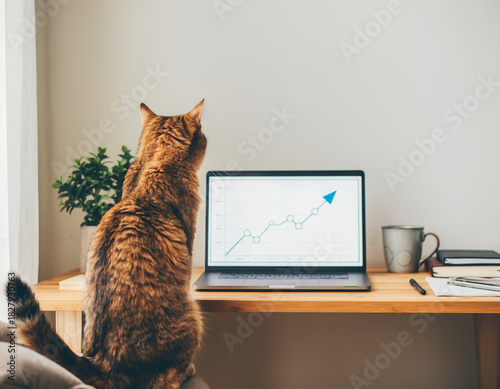 Curious cat studying financial growth chart on laptop screen
