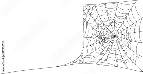 Intricate spiderweb glistening with dew in morning light, a delicate trap for prey.