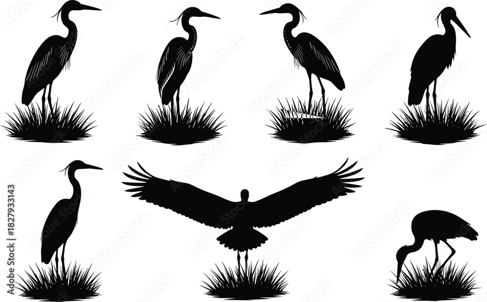 Naklejka premium Silhouette set of heron birds standing in grass and flying, wading bird vector illustration collection for nature, wildlife, and marshland design.