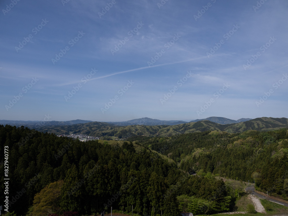 Obraz premium 森と山々