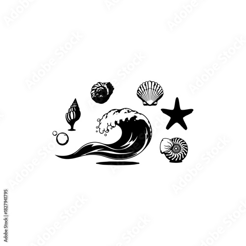 Ocean wave and shell collection