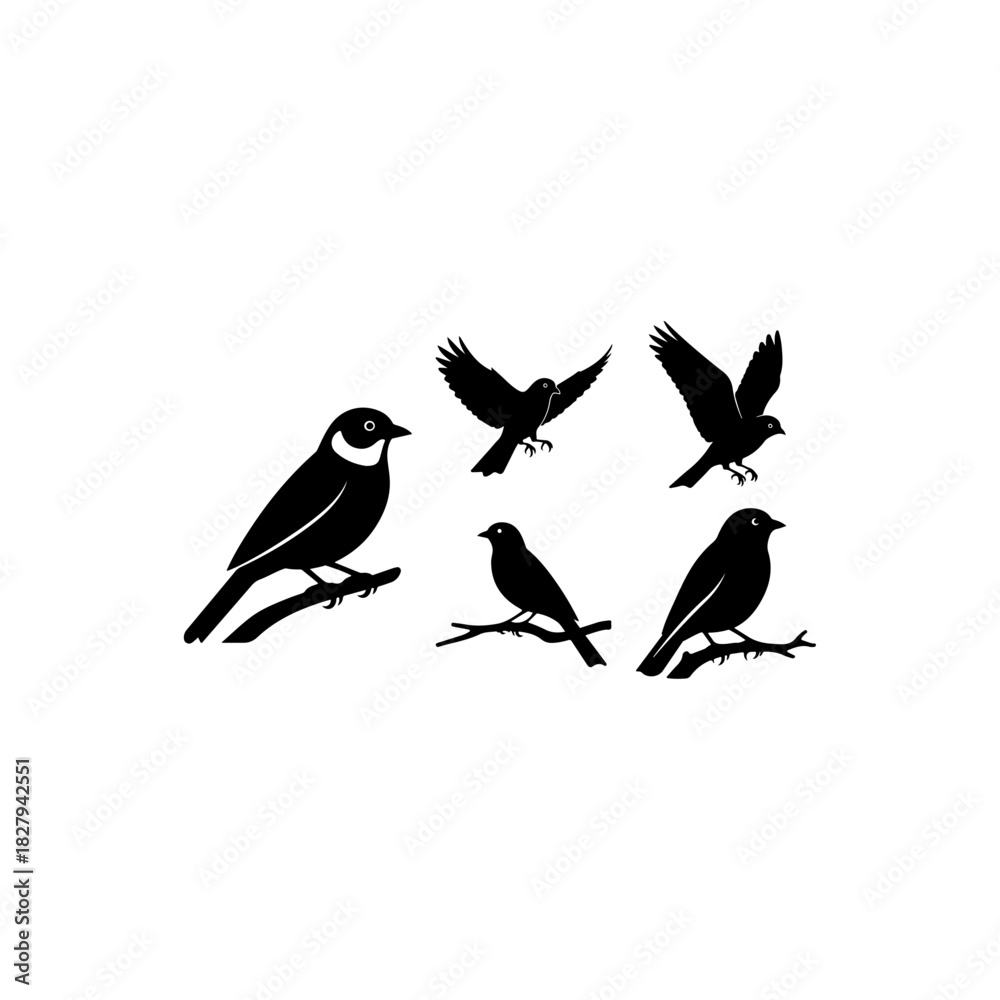 Fototapeta premium Bird silhouettes collection