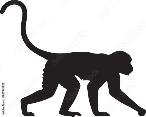 Black silhouette of a spider monkey walking on a white background primate animal on transparent background