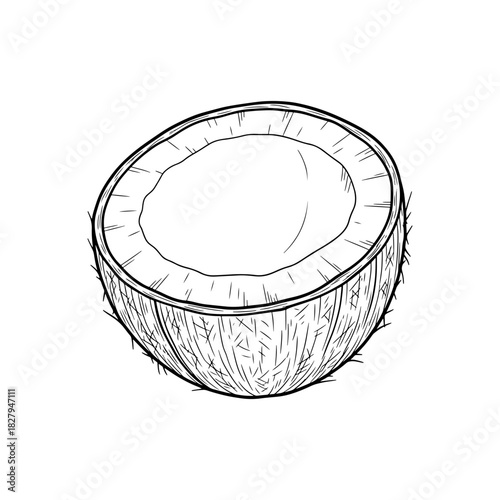 Fresh coconut half sketch for vibrant tropical themes, perfect for summer designs, healthy food promotions, and exotic vacation projects, originally vector graphics