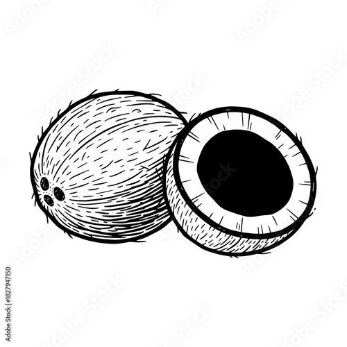 Exotic coconut halves illustration, evoking tropical paradise vacations and healthy eating, originally a scalable vector graphic, fresh, vibrant design.