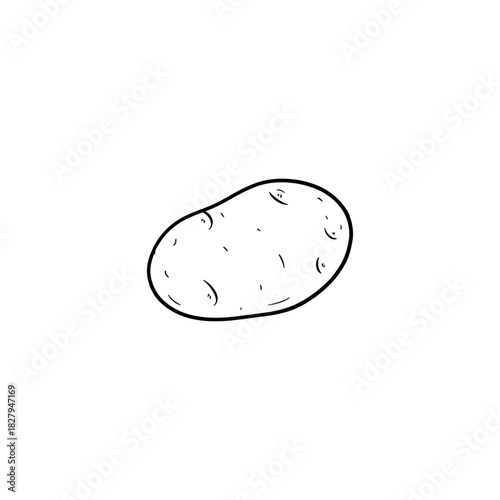 Fresh potato harvest illustration for healthy recipes, culinary designs and cooking guides. Simple, clean lines showcase nutritious ingredients.