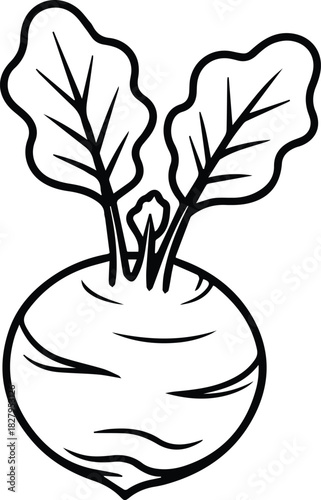Minimalist hand drawn kohlrabi outline icon vector