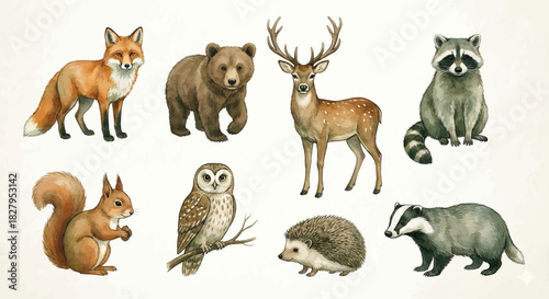Cute watercolor forest animals wildlife illustration set fox bear deer raccoon squirrel owl badger h