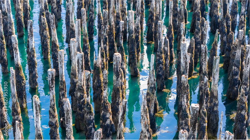 aerial view of old pier pilings in coastal maine