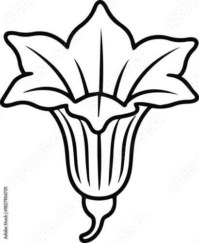 Minimalist hand drawn squash blossom outline icon vector