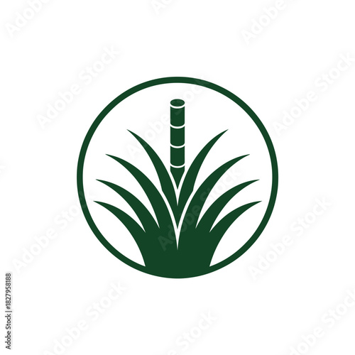 Green sugarcane stalk growing in lush foliage within a circular emblem.