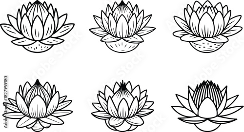 Set of Minimalist hand drawn lotus flower outline icon vector