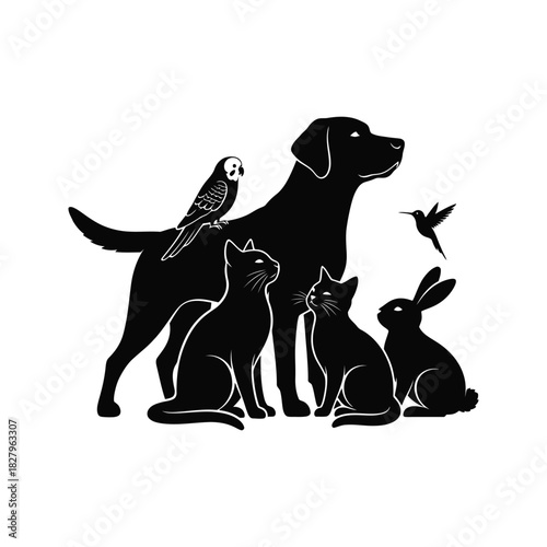 Diverse group of domestic animals including a dog cat parrot rabbit and hummingbird in silhouette form