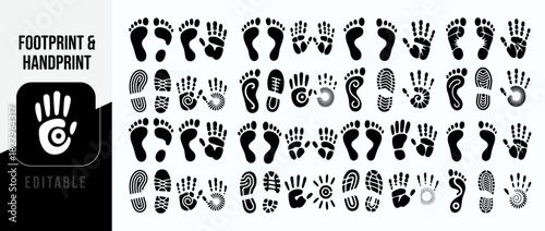Footprints and handprints collection diverse human and animal tracks in vector format