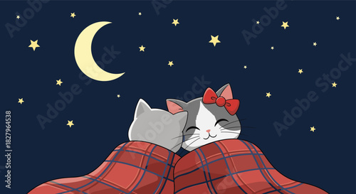 A romantic cartoon illustration of a cat couple snuggling under a plaid blanket, looking at the moon and stars in the night sky.