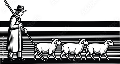 Vintage woodcut illustration of shepherd man leading flock of sheep, holding staff, rural farm concept, black and white flat vector