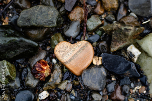 Billede på lærred Natural heart-shaped lover's stone on a wild stone beach with a romantic mood