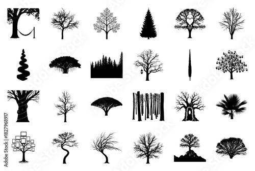 Diverse Tree Silhouettes in Black and White Keywords: tree, oak, pine, fir, cypress, bonsai