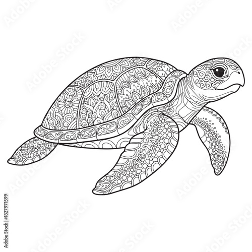vector of turtle in doodle style perfect for design