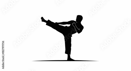 Black silhouette of a martial artist performing a high kick.