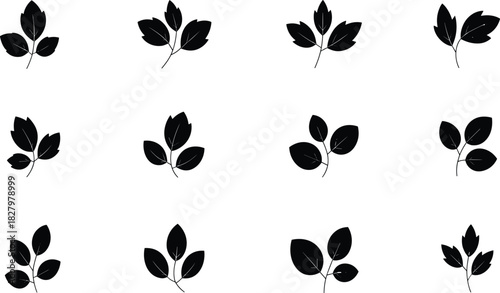 Leaf silhouette grid, botanical shapes, black and white, plant classification, nature design, foliage pattern, stem leaves, visual taxonomy, organic form