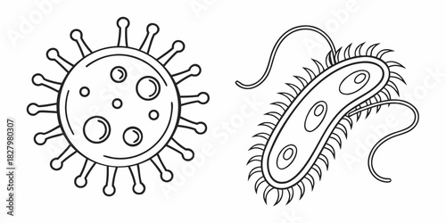 Outline Illustrations of a Virus and a Bacterium on White Background germ microbe