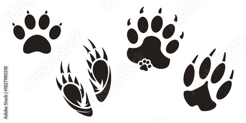 Collection of Stylized Black Bear Paw Prints on White Background animal track footprint