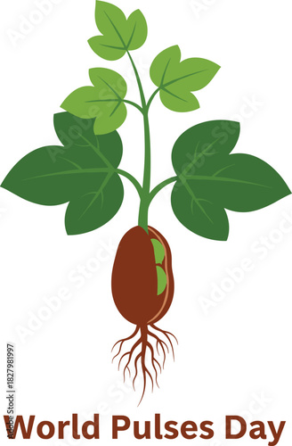 World Pulses Day Vector Illustration with Sprouting Seedling, Roots, and Leaves.