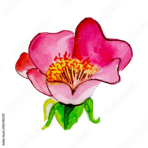 Radiant Rose Watercolor: An exquisite watercolor depiction of a vibrant rose, meticulously painted with delicate brushstrokes and vivid hues, evoking feelings of beauty and grace.