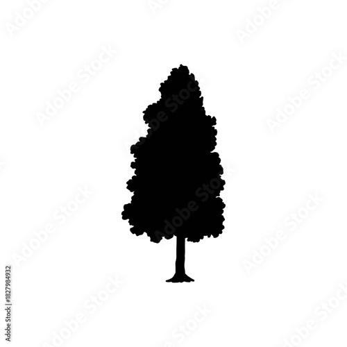 Silhouette of a Majestic Evergreen: A stark and elegant silhouette of a majestic evergreen tree stands tall, its dark form contrasting dramatically, conveying strength and resilience.