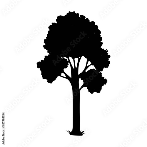 Silhouette of Majestic Tree: A silhouette of a solitary tree against the sky, it shows strength, resilience, and a connection to the environment.