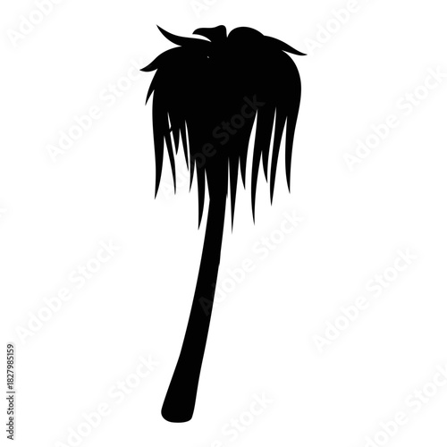 Tropical Silhouette: A stark silhouette of a palm tree, its fronds cascading in a stylized fashion, evokes a sense of tropical isolation and the stark beauty of nature.