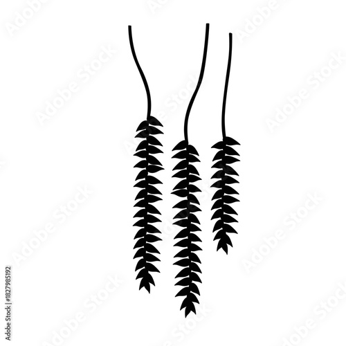 Botanical Silhouette: Elegant black silhouette of hanging plant, showcasing the delicate linear design of cascading leaves.
