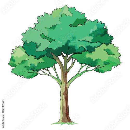 Beautiful green tree illustration with layered foliage and a textured trunk, in a clean, watercolor-style design.