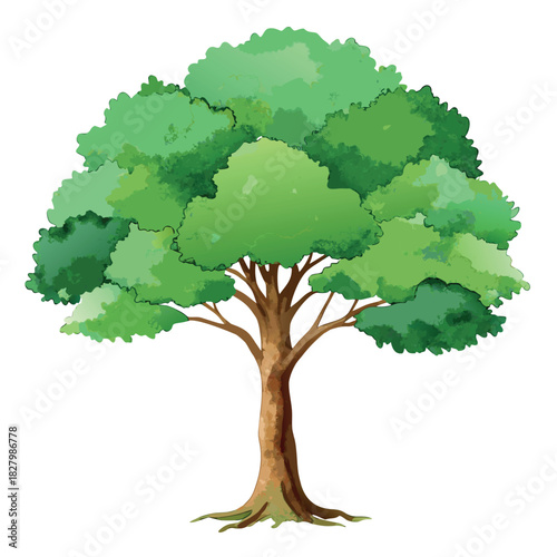 Beautiful green tree illustration with layered foliage and a textured trunk, in a clean, watercolor-style design.