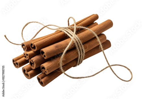Bundle of cinnamon sticks tied with twine against a black background