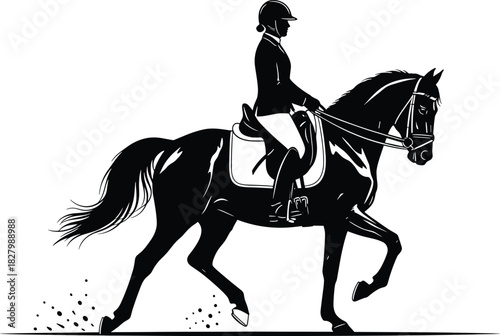 Black silhouette of a horse and rider in motion equestrian, horse, rider, equestrian, silhouette, black and white, motion, movement, galloping, trotting, riding, horse riding, equestrian sport, compet