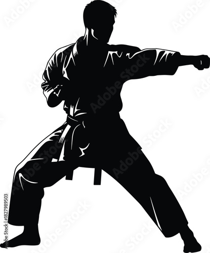 Black silhouette of a person in martial arts uniform performing a punch, karate, martial arts, silhouette, black and white, fighter, combat, action, punch, kick, training, sport, discipline, strength,