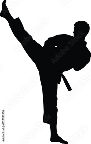 Black silhouette of a person performing a high kick, silhouette, karate, martial arts, kick, high kick, action, sport, fighter, athlete, black and white, isolated, white background, movement, dynamic,