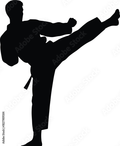 Black silhouette of a person performing a martial arts kick, silhouette, karate, martial arts, kick, fighting, action, sport, exercise, movement, dynamic, strong, athletic, person, man, woman, martial